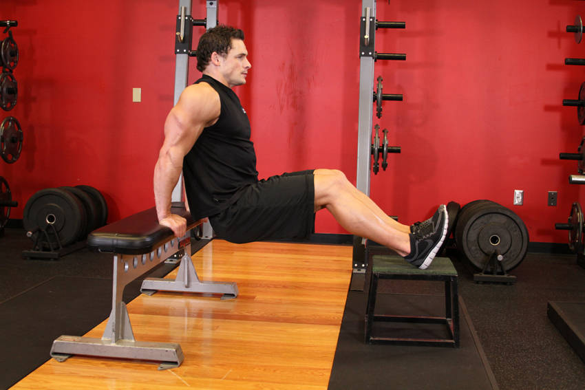 Bench Dips — start