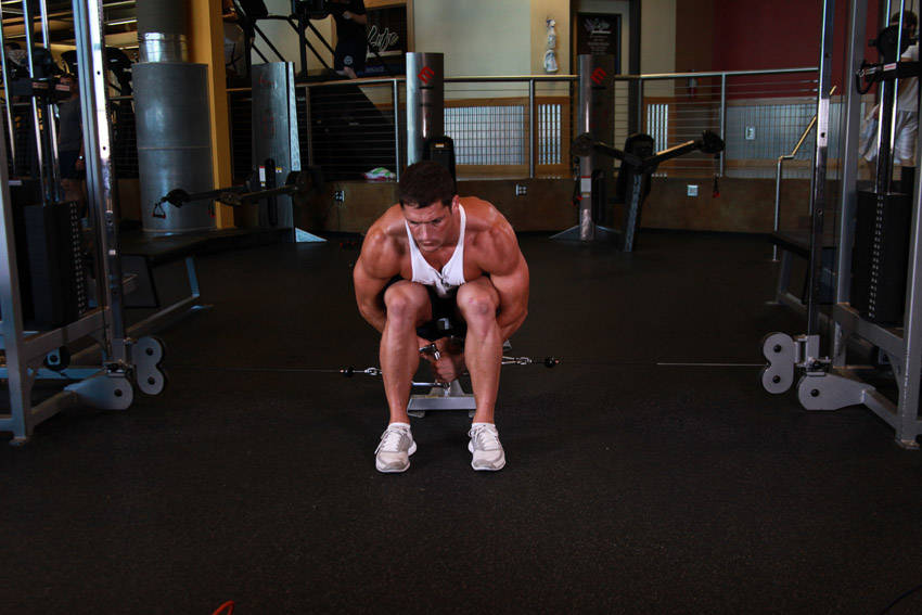 Cable Seated Lateral Raise — starting position