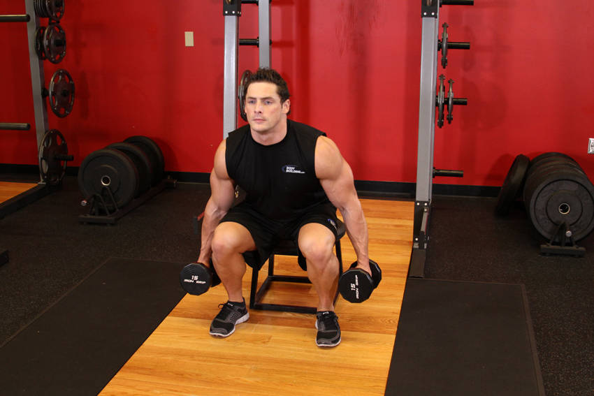 Dumbbell Squat To A Bench — end position