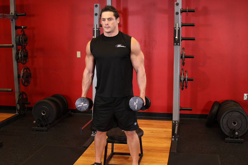 Dumbbell Squat To A Bench — starting position