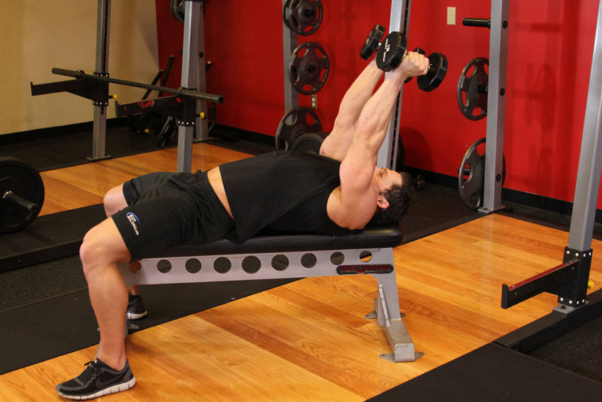 Lying Dumbbell Tricep Extension — end position
