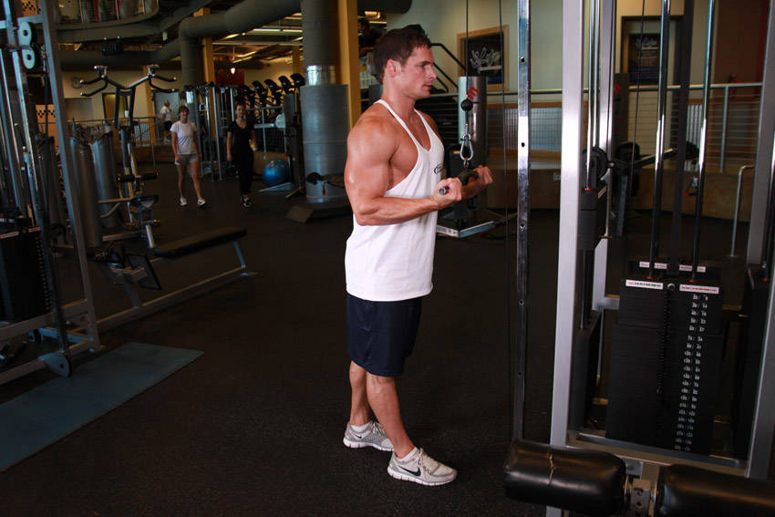 Reverse Grip Triceps Pushdown — starting position