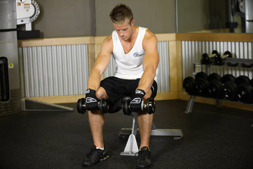 Seated Dumbbell Palms-Down Wrist Curl — starting position