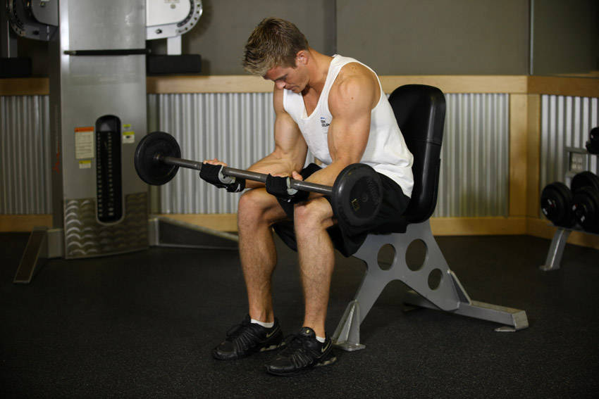Seated Palm-Up Barbell Wrist Curl — end position