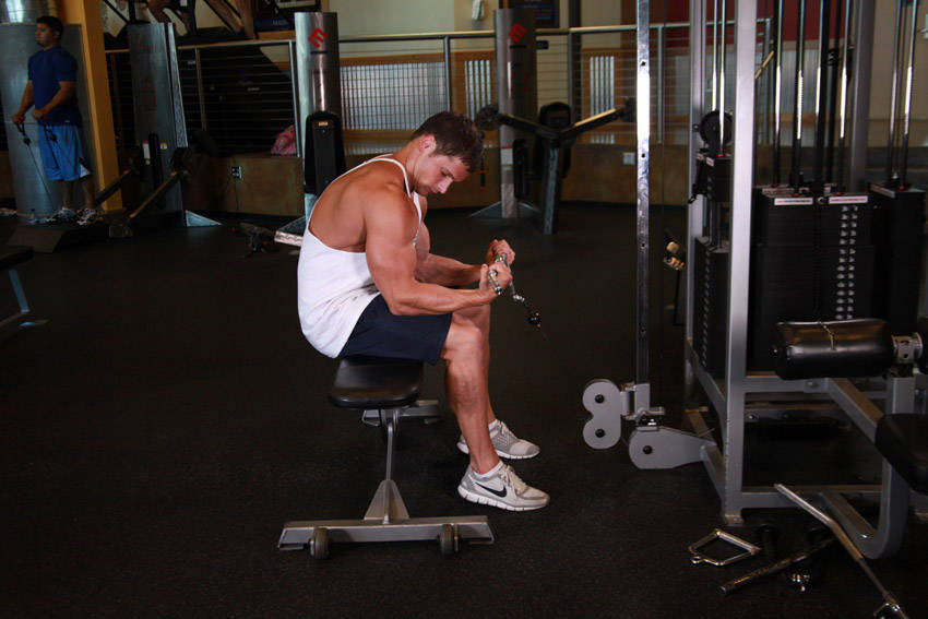 Сгибание запястий на нижнем блоке двумя руками сидя, хватом снизу — конечная позиция