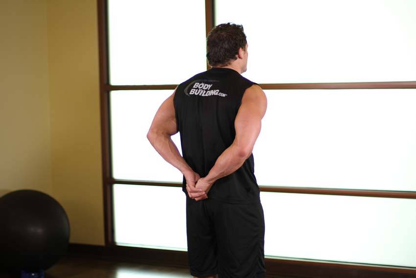 Standing Biceps Stretch — starting position