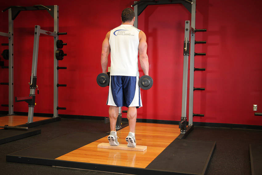 Standing Dumbbell Calf Raise — end position