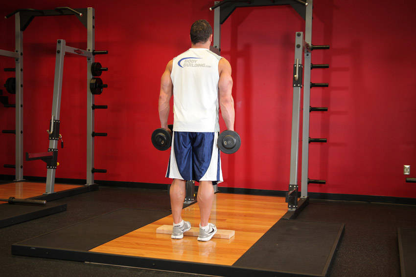 Standing Dumbbell Calf Raise — starting position