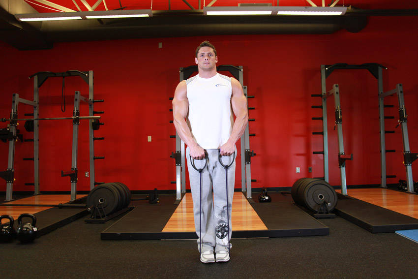 Upright Row - With Bands — starting position