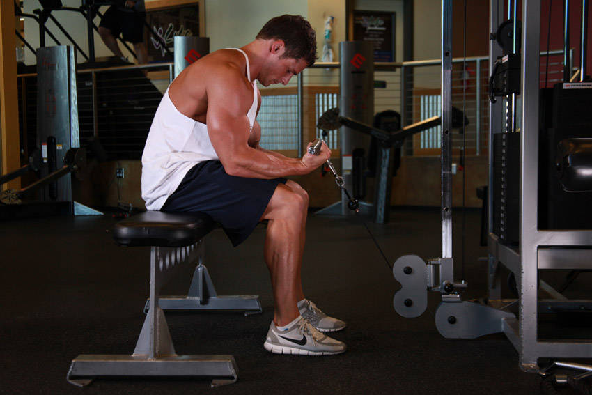Cable Wrist Curl — end