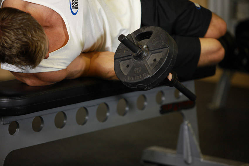 Dumbbell Lying Pronation — end