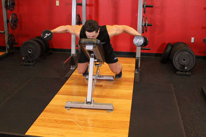 Dumbbell Lying Rear Lateral Raise — end