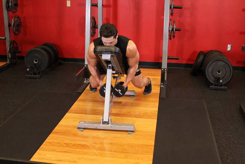 Dumbbell Lying Rear Lateral Raise — start