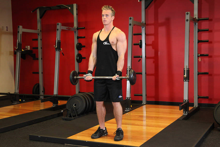 EZ-Bar Curl — start