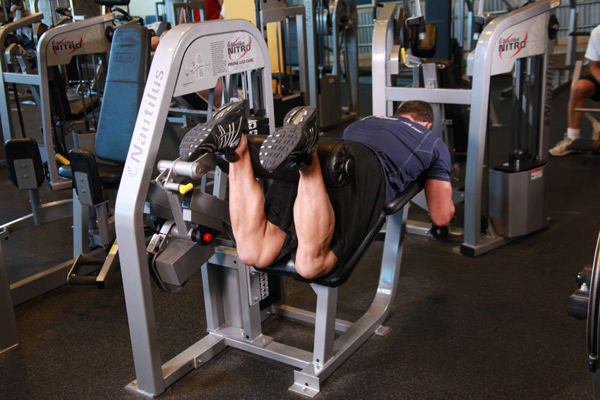 Lying Leg Curls — end