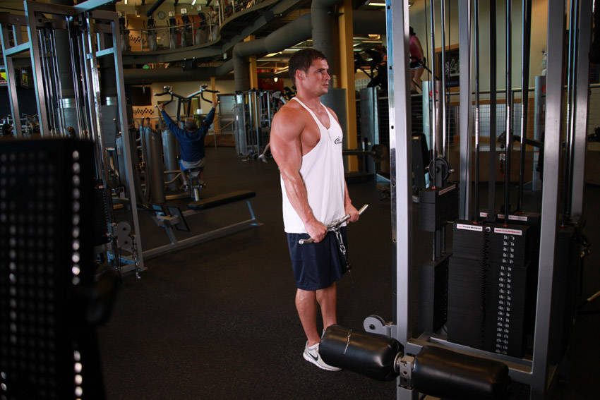 Reverse Cable Curl — end