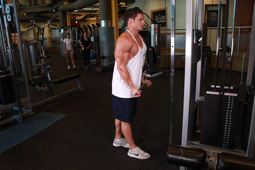 Reverse Grip Triceps Pushdown — end