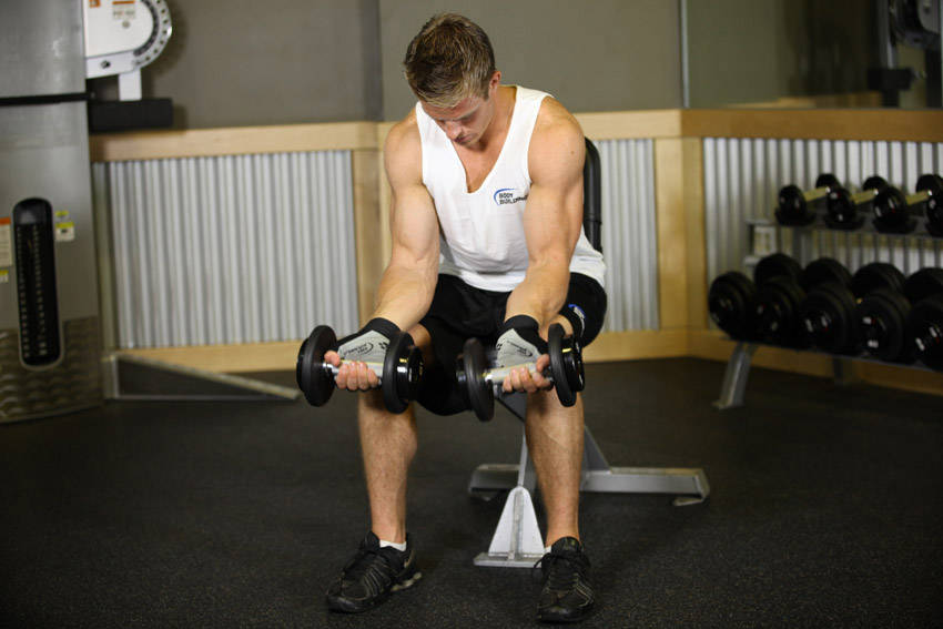 Seated Dumbbell Palms-Up Wrist Curl — start