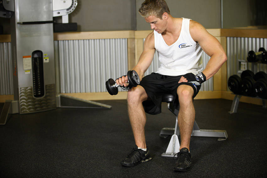 Seated One-Arm Dumbbell Palms-Down Wrist Curl — end