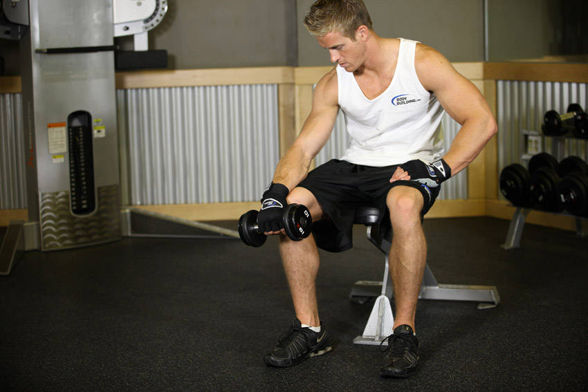 Seated One-Arm Dumbbell Palms-Down Wrist Curl — start