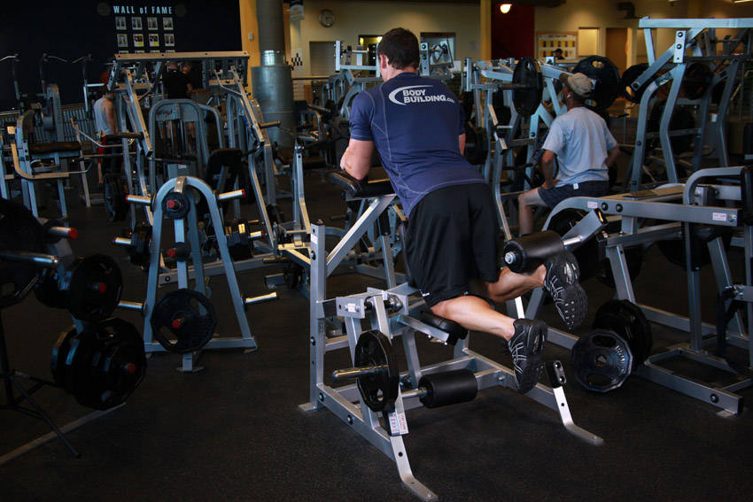 Standing Leg Curl — end