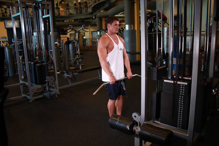 Upright Cable Row — end